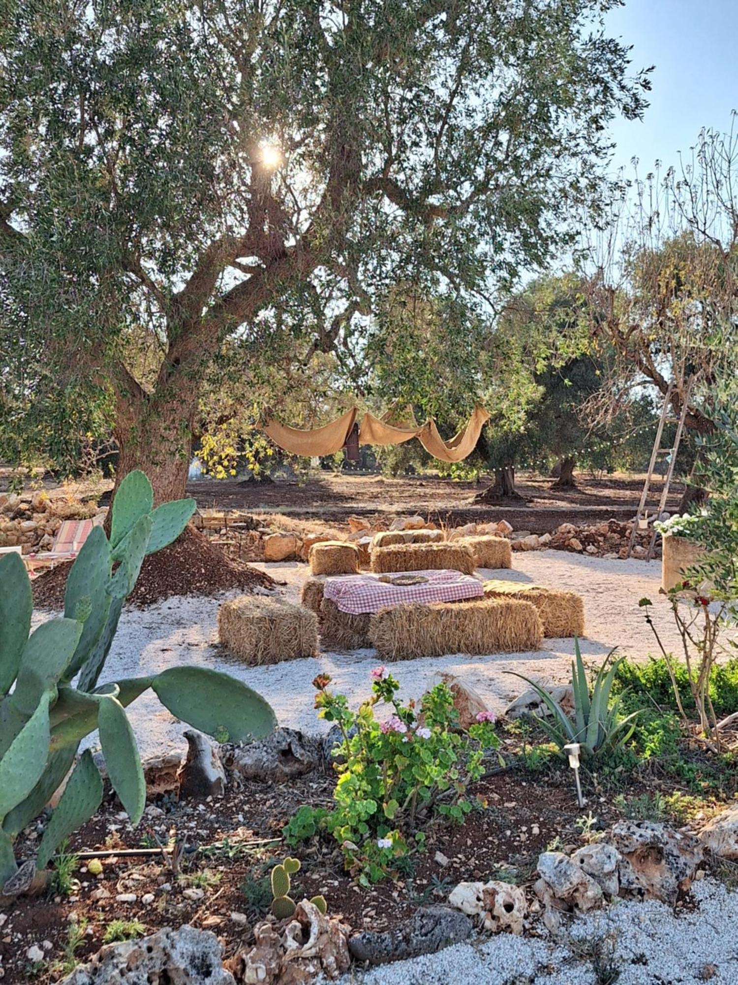 Residenza Anima Mediterranea Франкавила Фонтана Екстериор снимка